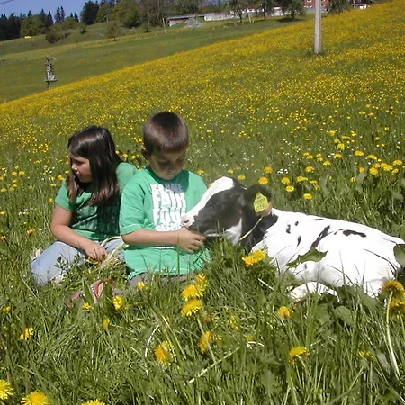 Alojamento de Turismo Rural Ferienbauernhof Roth
