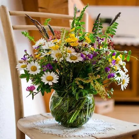 Ferienbauernhof Roth مزرعة للإقامة