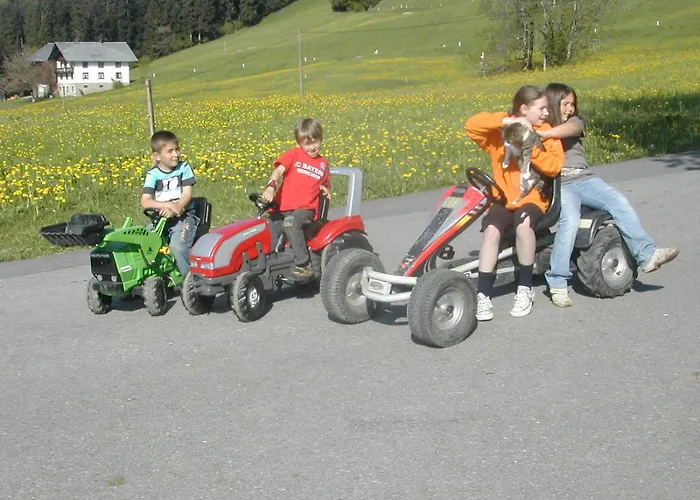 Ferienbauernhof Roth Фермерский дом Зульцберг