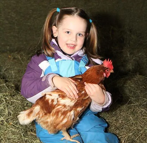 Ferienbauernhof Roth